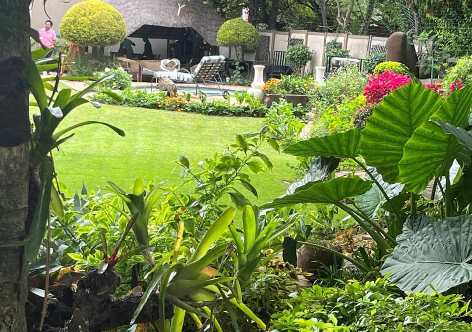 Patio, Garden, View (from property/room), Garden view, Pool view