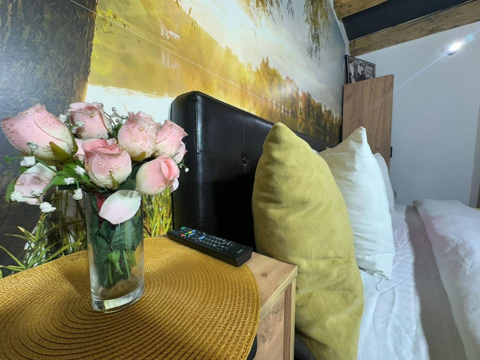 Aqua Studio Central Free Parking Apartment in Craiova