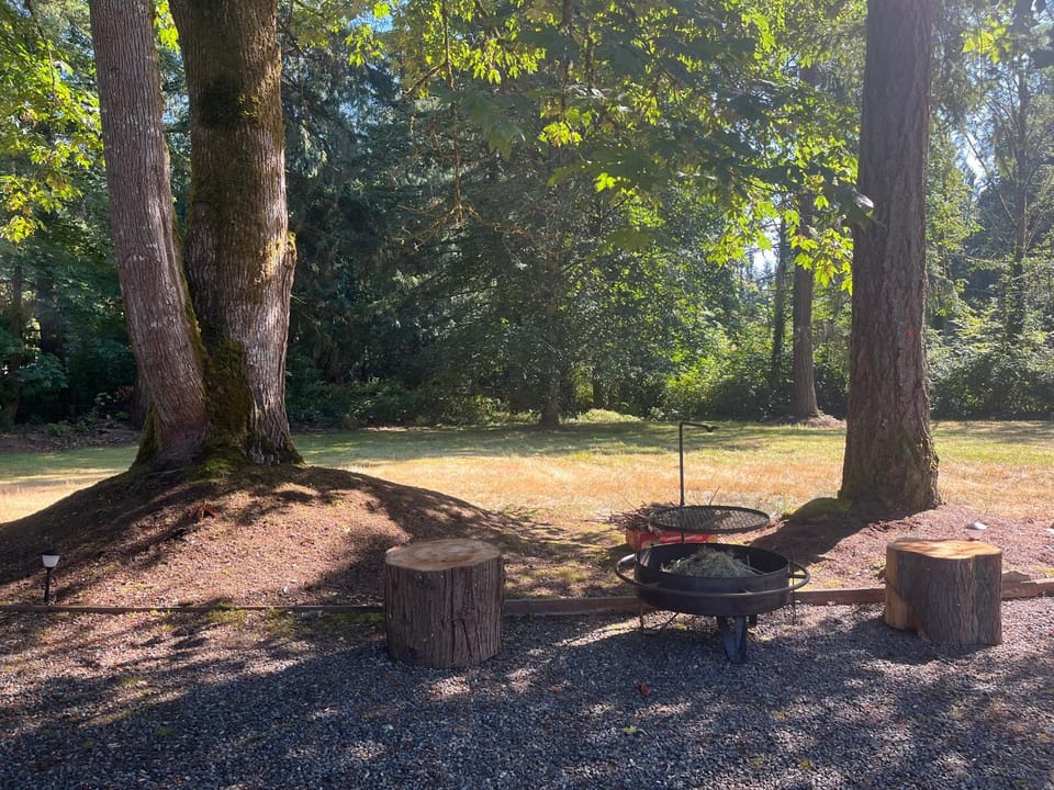 Natural landscape, Garden, Garden view