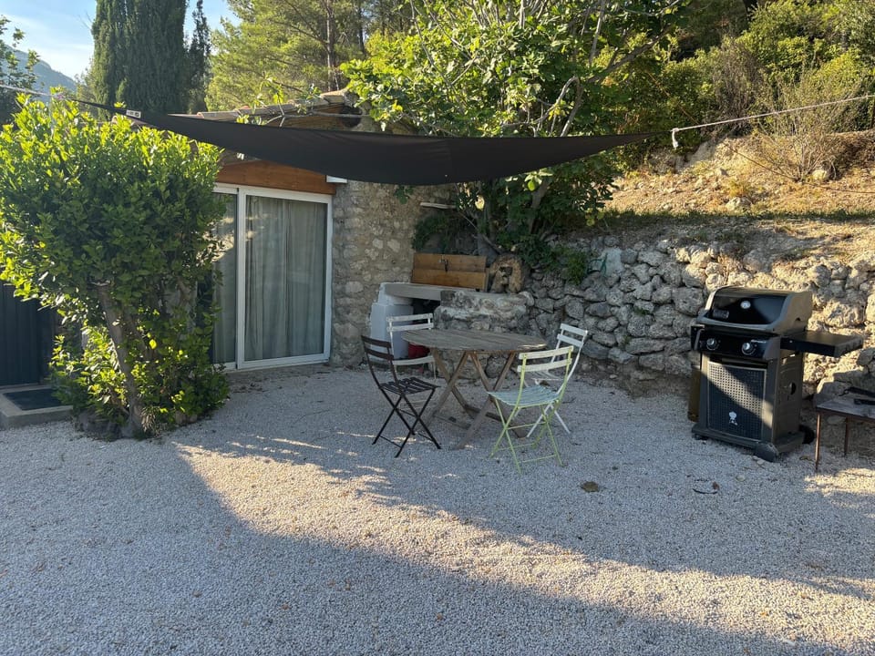 Patio, Garden, Dining area