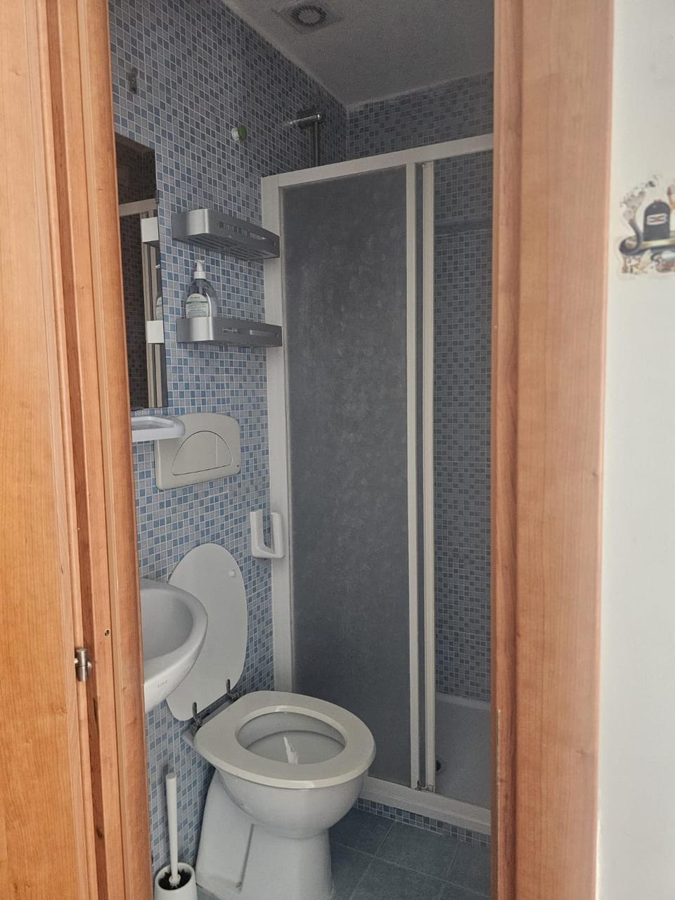 Shower, Toilet, Bathroom, bidet