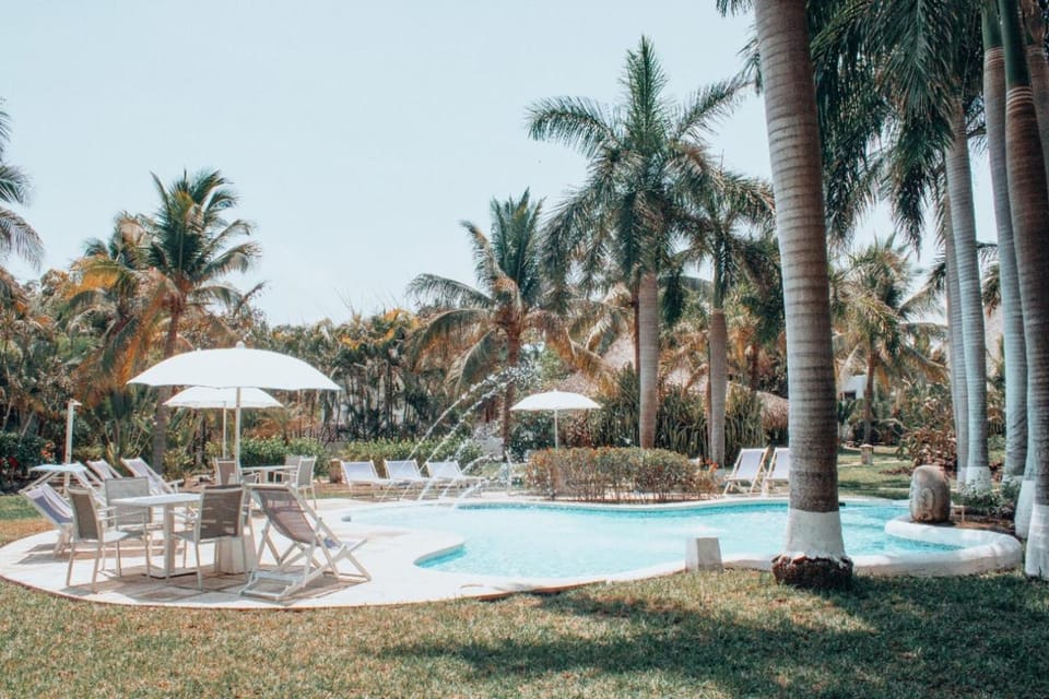 Natural landscape, Garden, Swimming pool