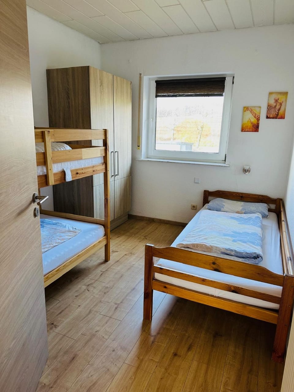 Bed, Photo of the whole room, Bedroom, bunk bed