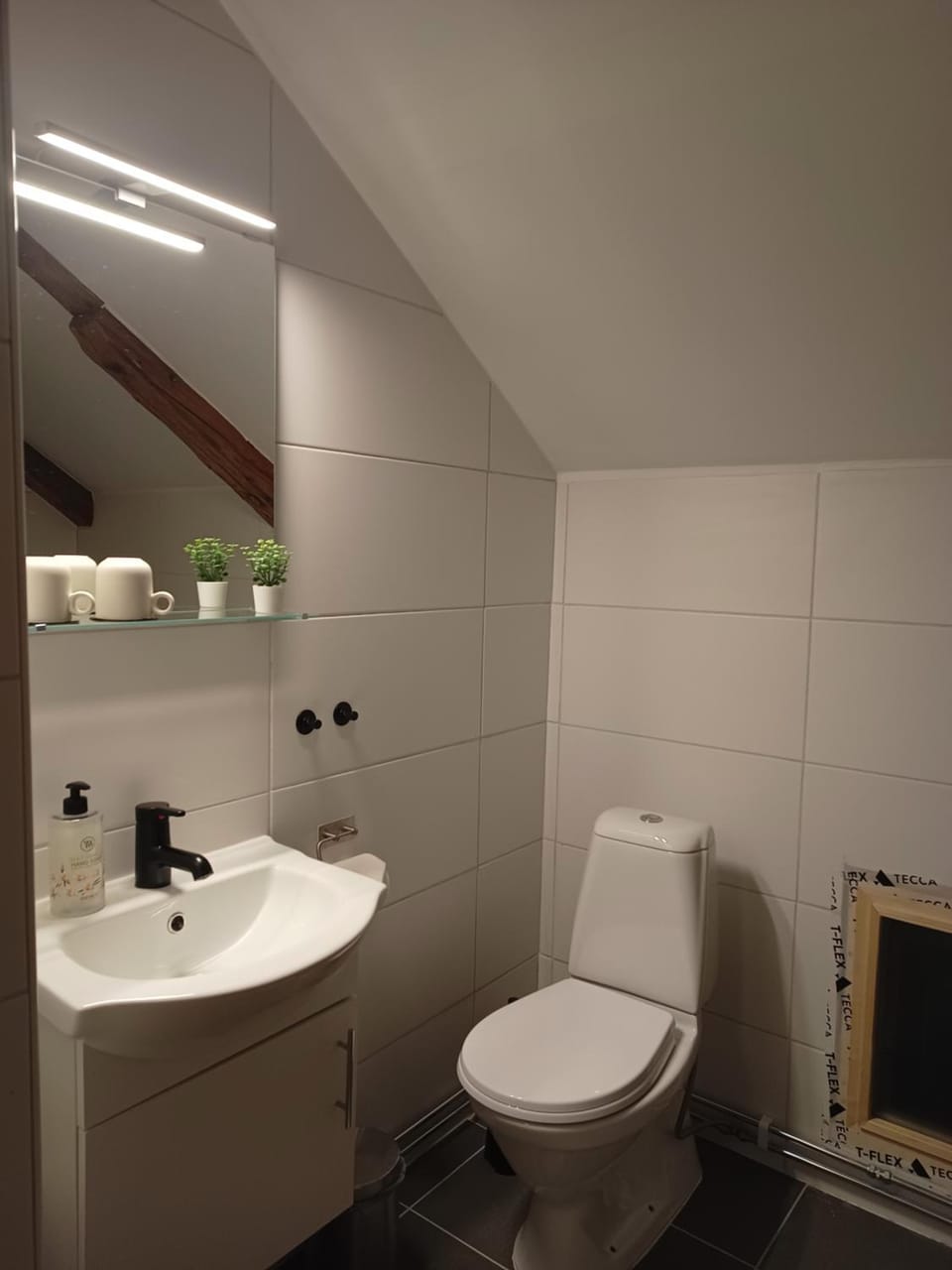 Toilet, Bathroom