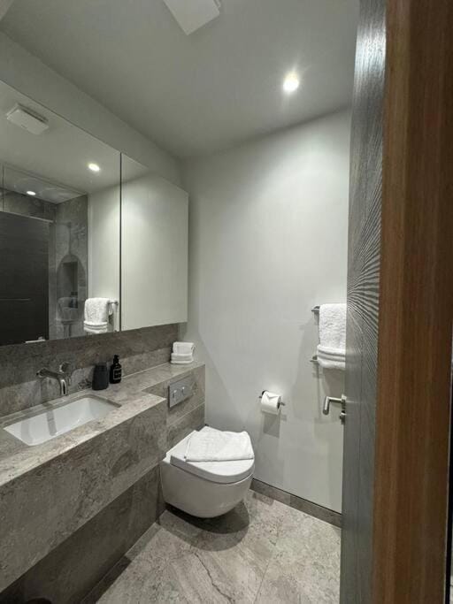 Luxurious Studio - Central Prime Reading Location- CHRL F18 Apartment in Reading