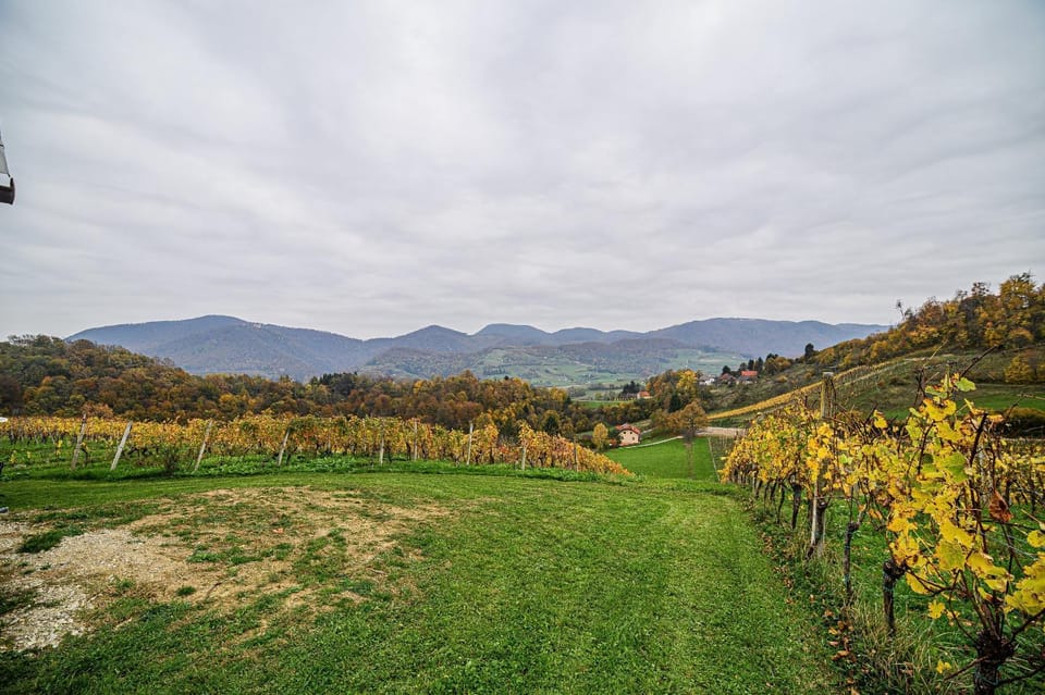 Day, Natural landscape, Garden, View (from property/room), Mountain view