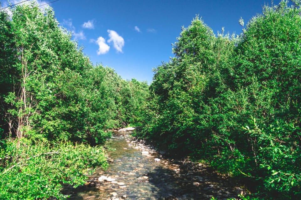 Natural landscape