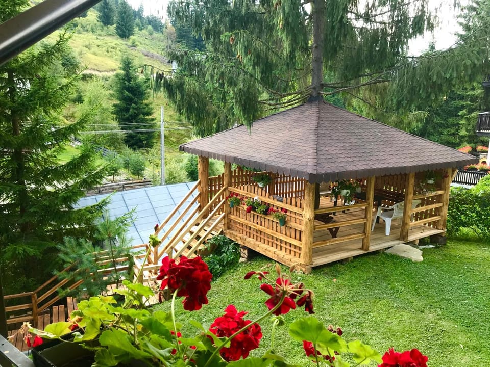 Pensiunea Carina Bed and Breakfast in Romania