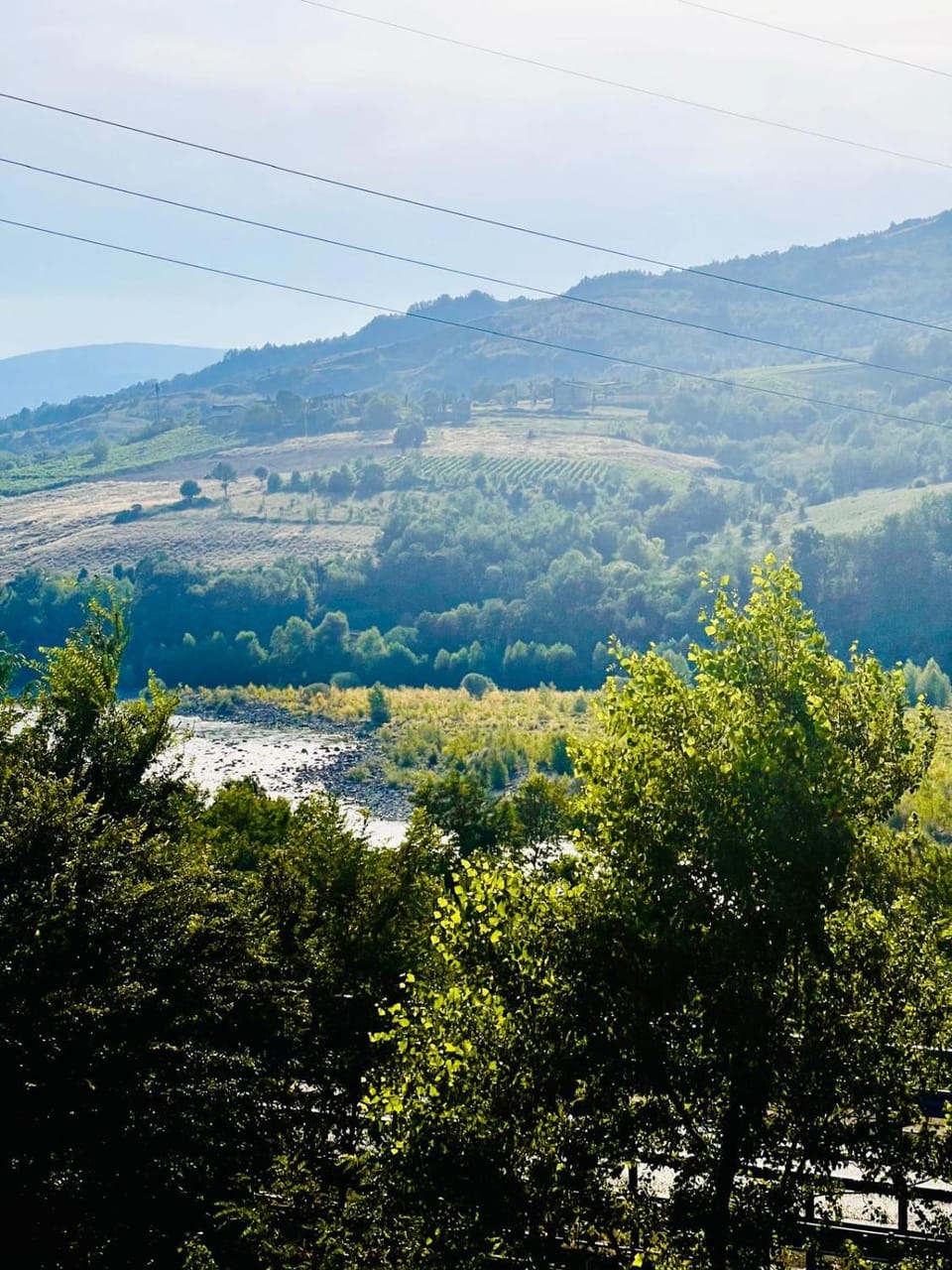 View (from property/room), River view