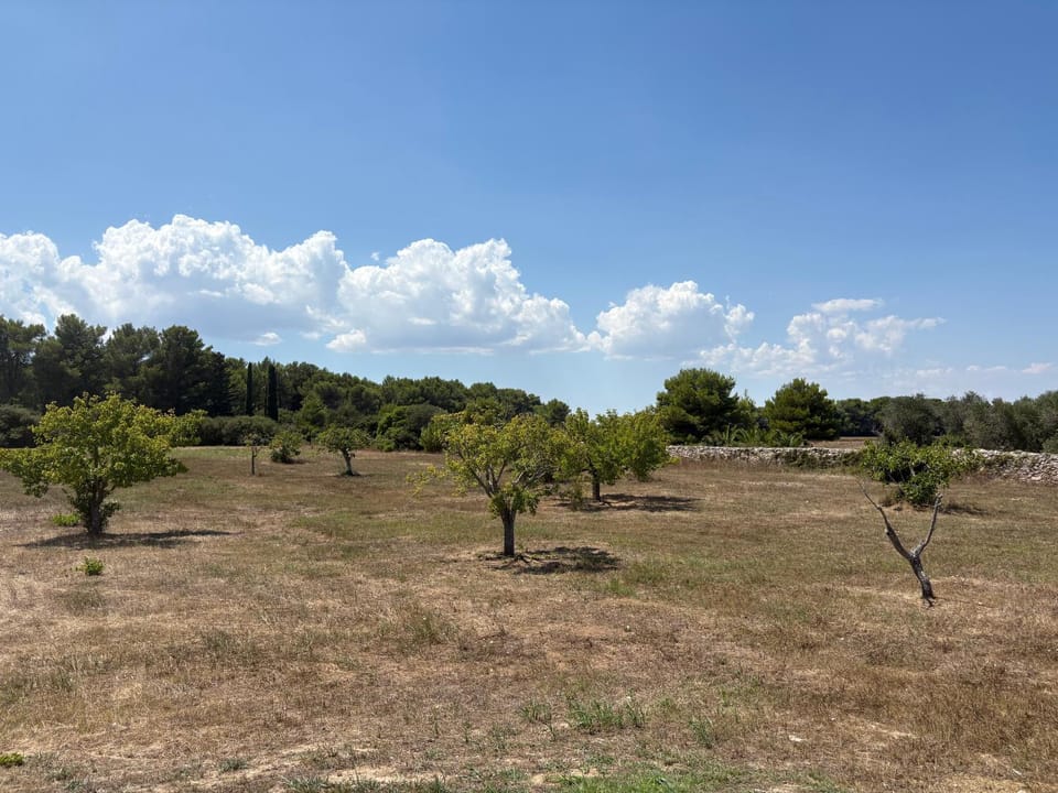 Tenuta Mare Verde House in Torre dell'Orso