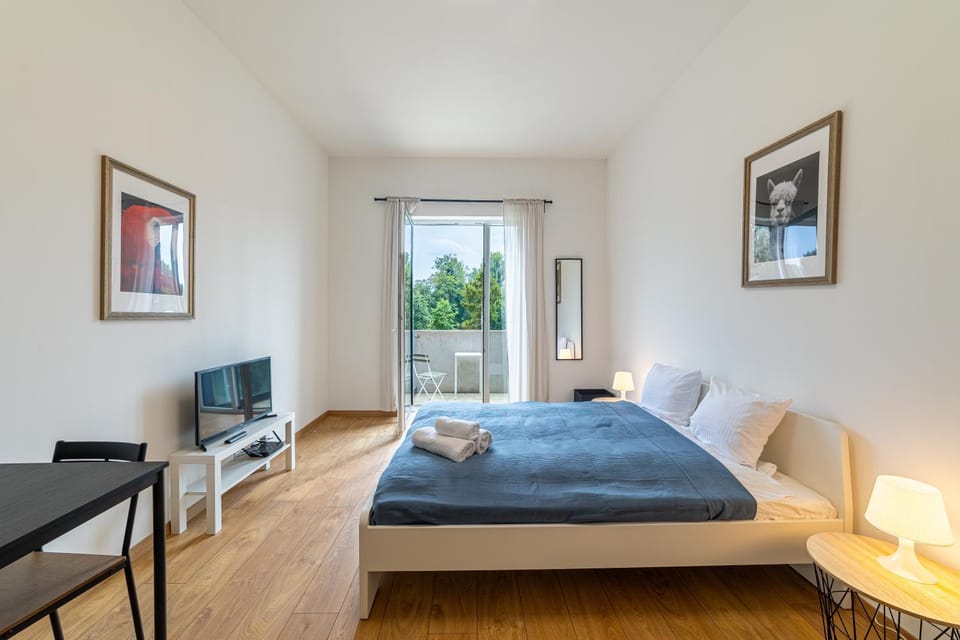 Bed, TV and multimedia, Photo of the whole room