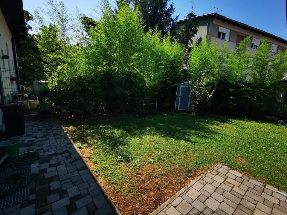 Garden view