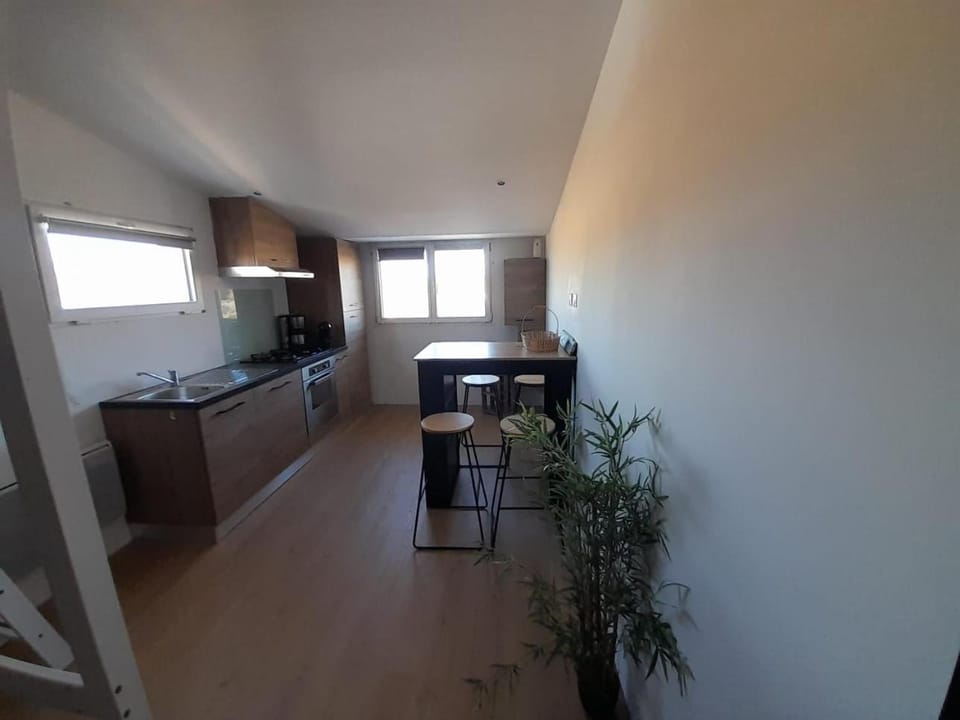 Kitchen or kitchenette, oven, stove
