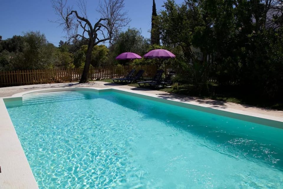 Garden view, Pool view, Swimming pool, sunbed