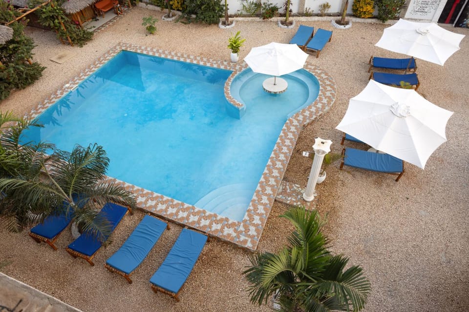 Patio, Day, Garden view, Pool view, Swimming pool, sunbed