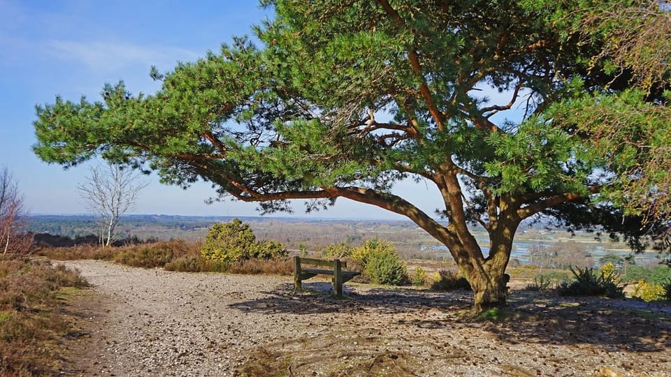 Natural landscape