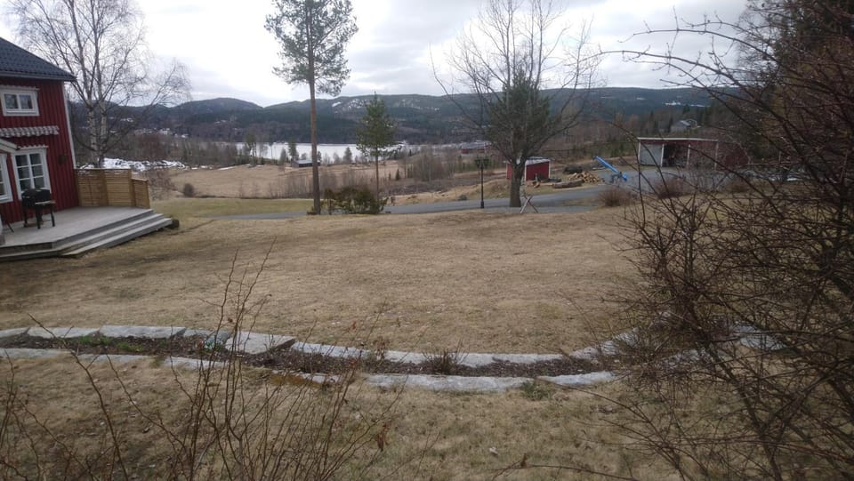 Lake view