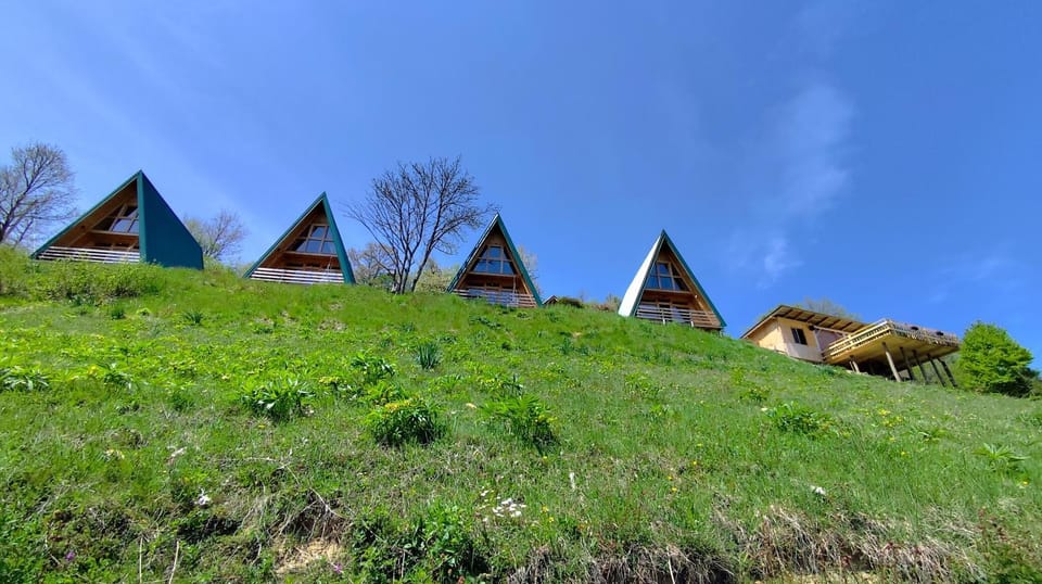 Property building, Spring, Day, Natural landscape, Garden, Garden view