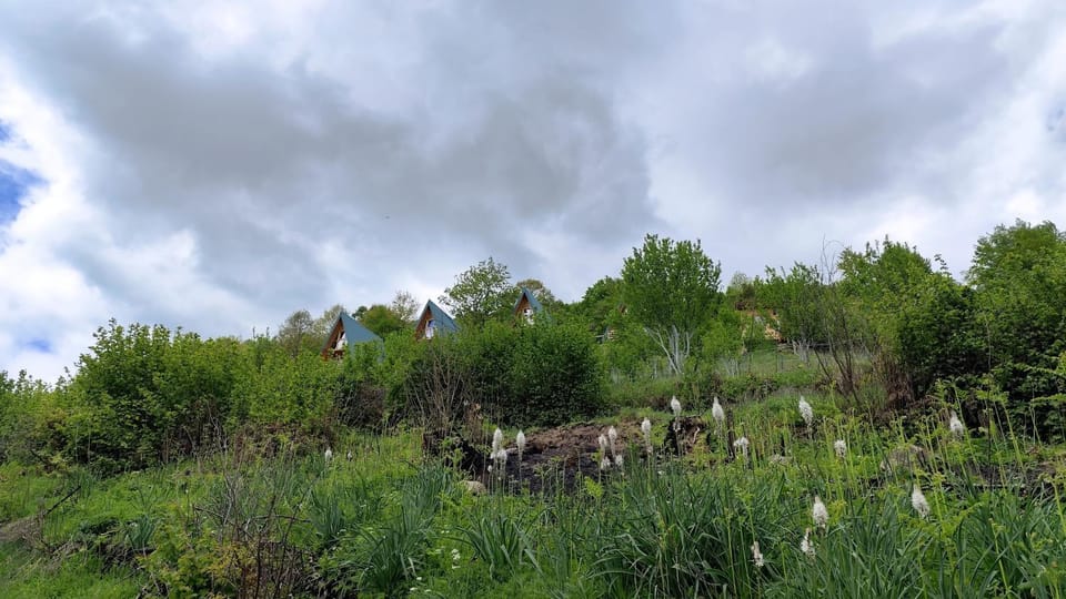 Sunčani Brijeg Eco Village Chalet in Montenegro