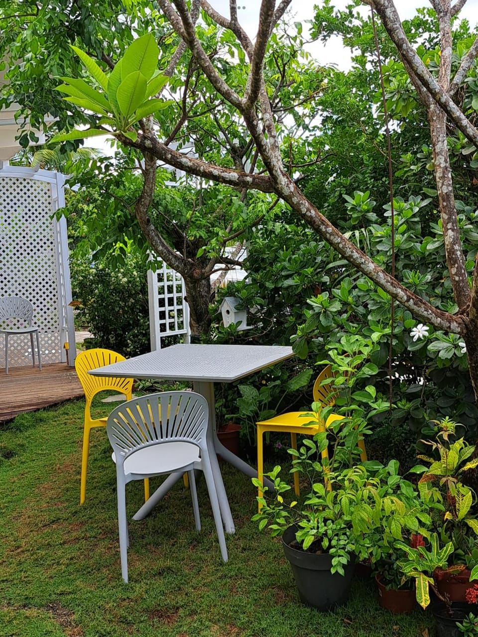 Garden, Dining area
