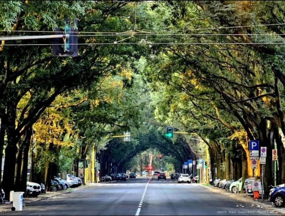 Facade/entrance, Day, Neighbourhood, Natural landscape, Summer, City view, Street view, Seasons, Quiet street view