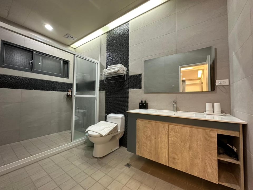 Shower, Toilet, Bathroom, towels