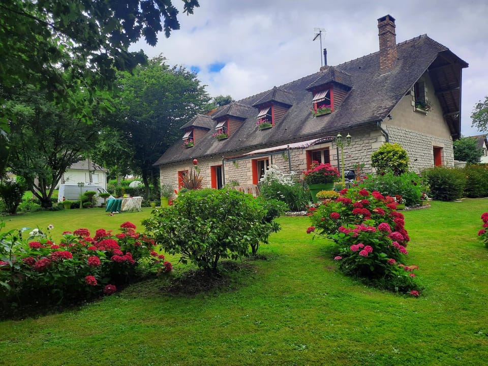 Spring, Garden, Garden view