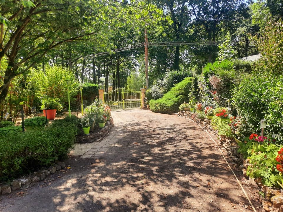 Natural landscape, Garden