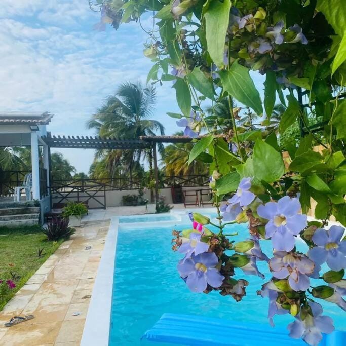 Spring, Day, Garden, Garden view, Pool view, Swimming pool