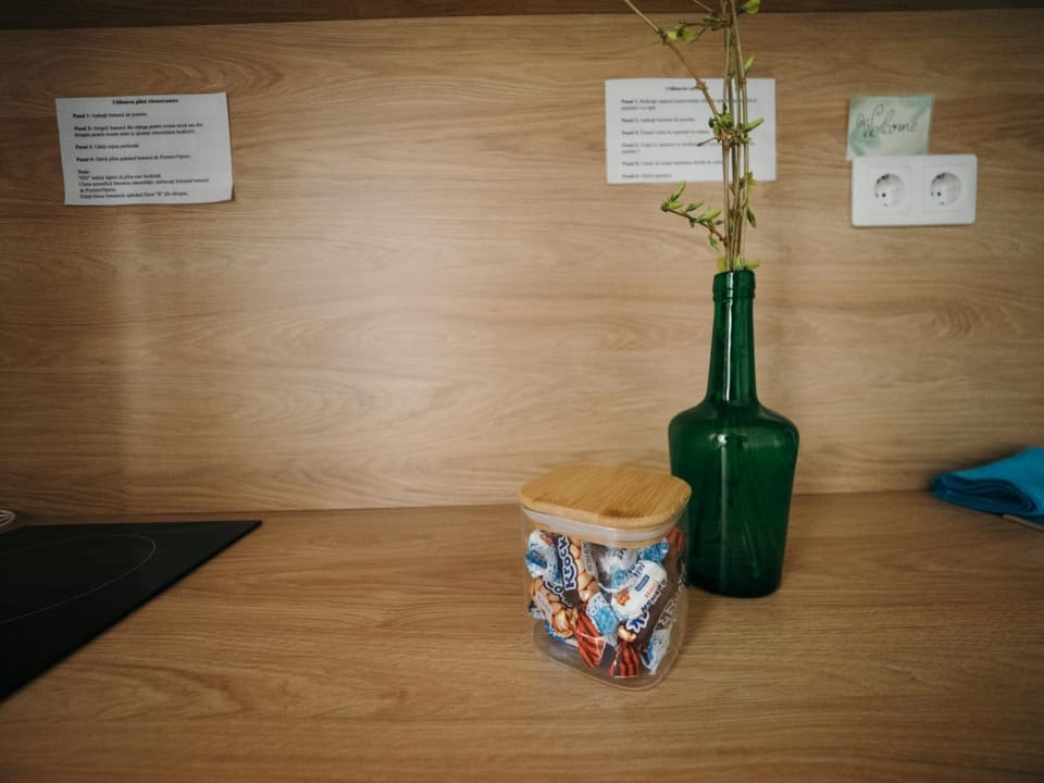 Mimosa Studio Apartment in Cluj-Napoca