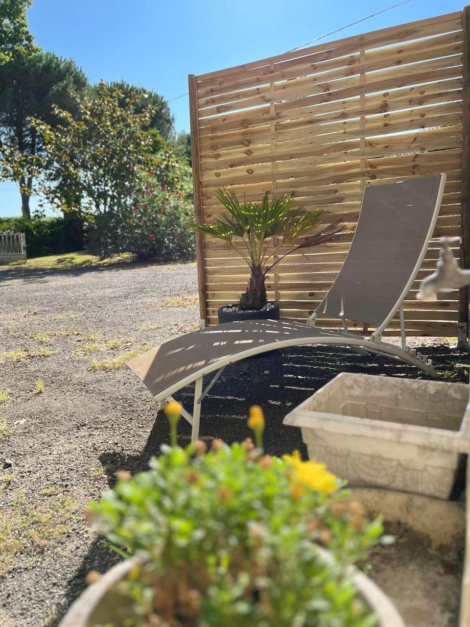 Garden, sunbed