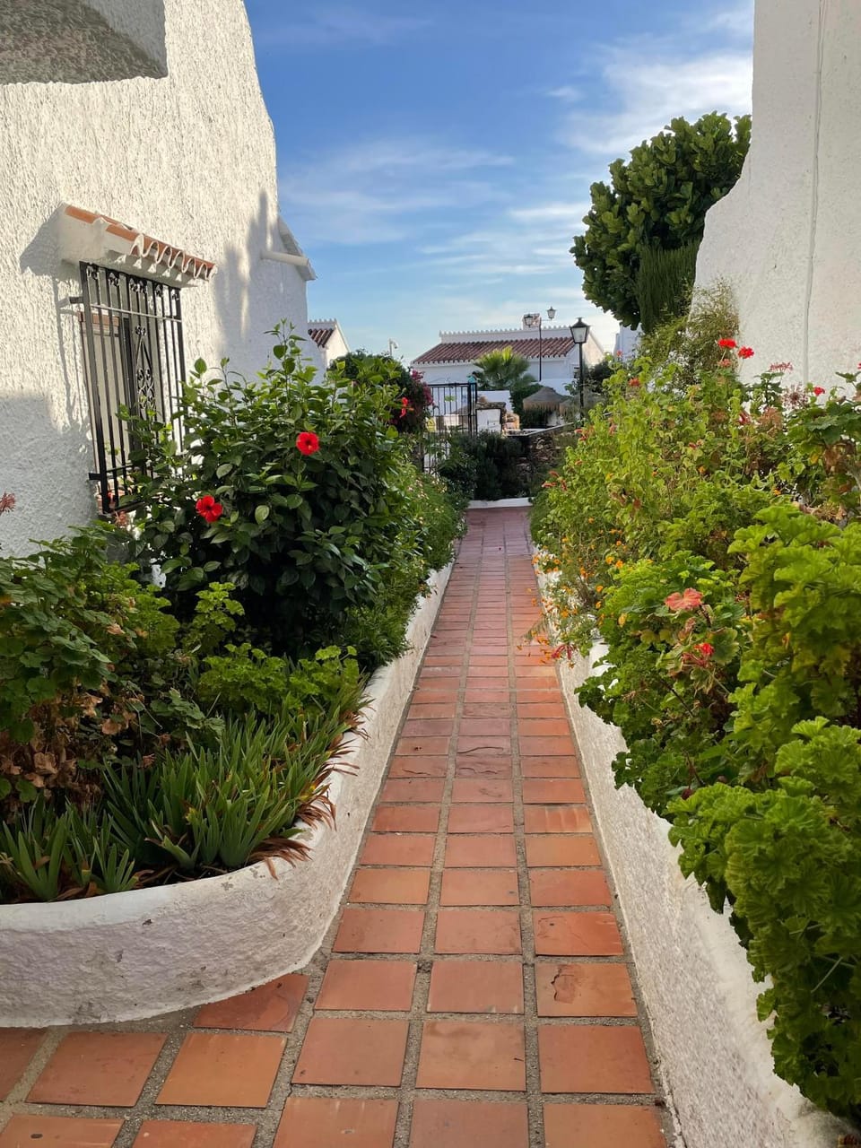 Garden view