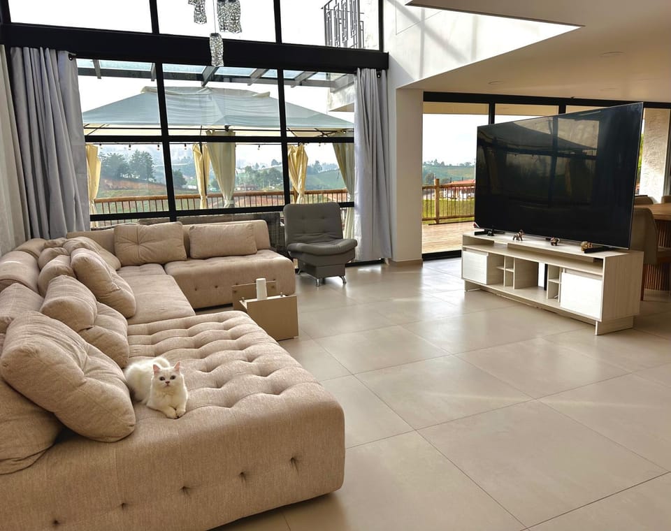 Communal lounge/ TV room, TV and multimedia, Living room