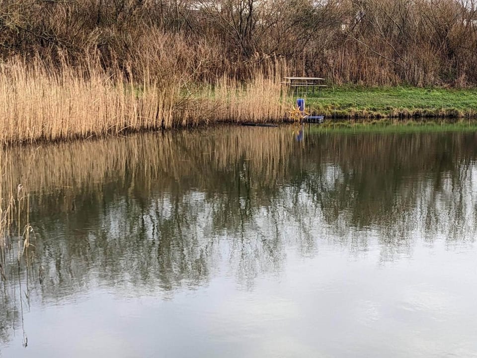 Lake view