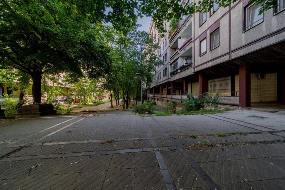Property building, Spring, Day, Neighbourhood, Garden, Garden view, Street view