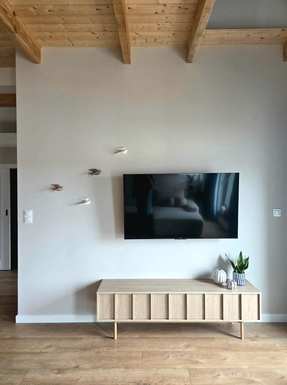 TV and multimedia