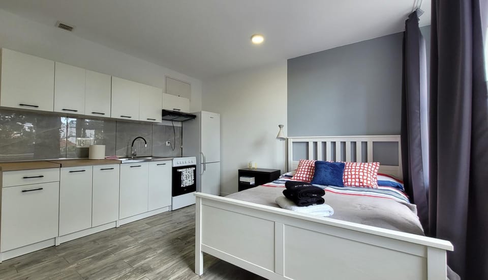 Bed, Kitchen or kitchenette, Photo of the whole room, Bedroom, oven, stove