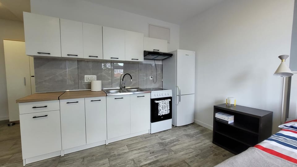 Kitchen or kitchenette, Photo of the whole room, Bedroom, oven, stove