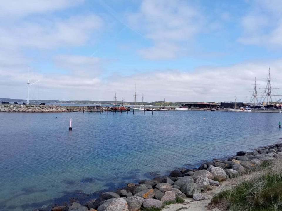Lake view