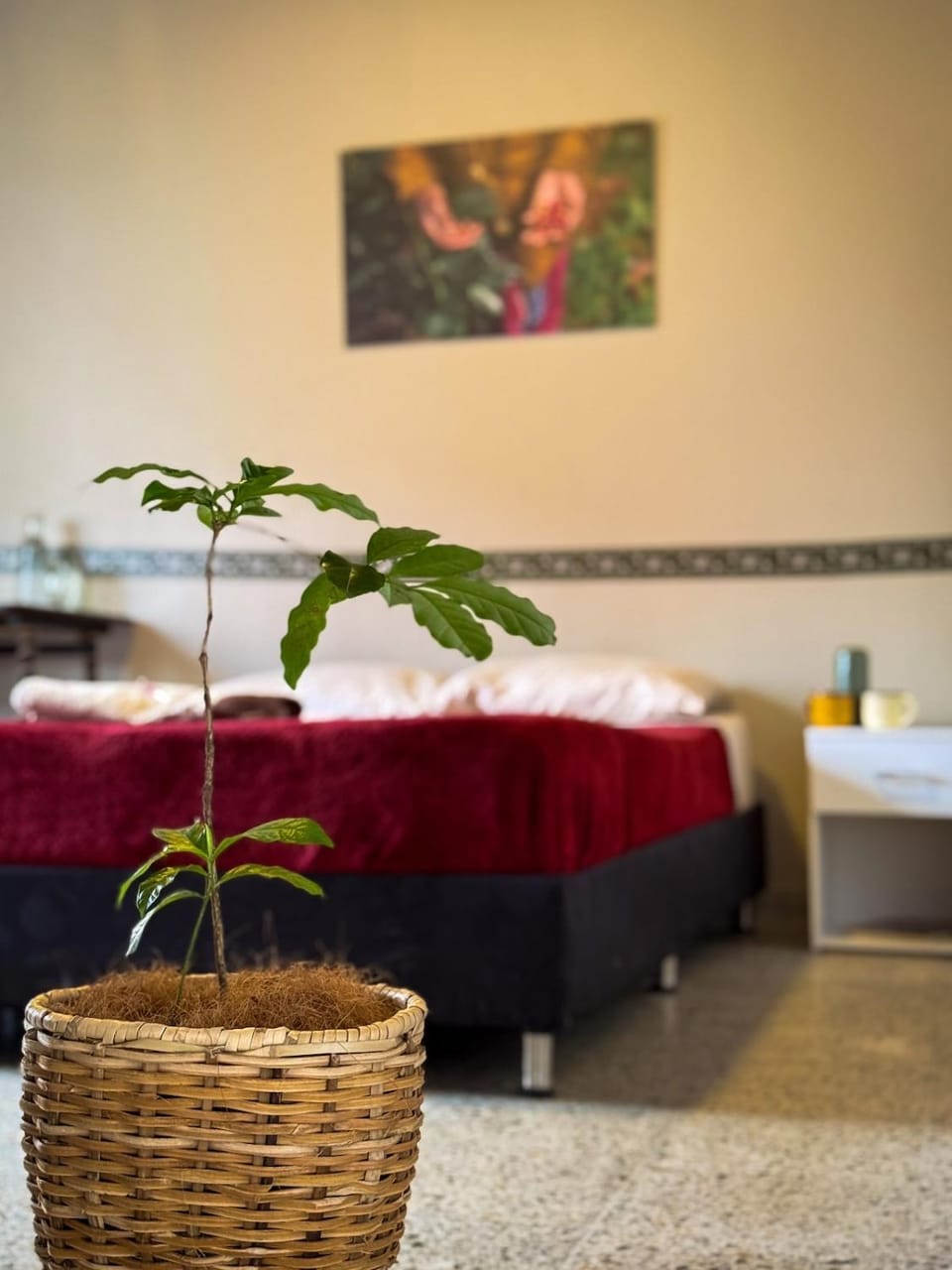 Photo of the whole room, Bedroom