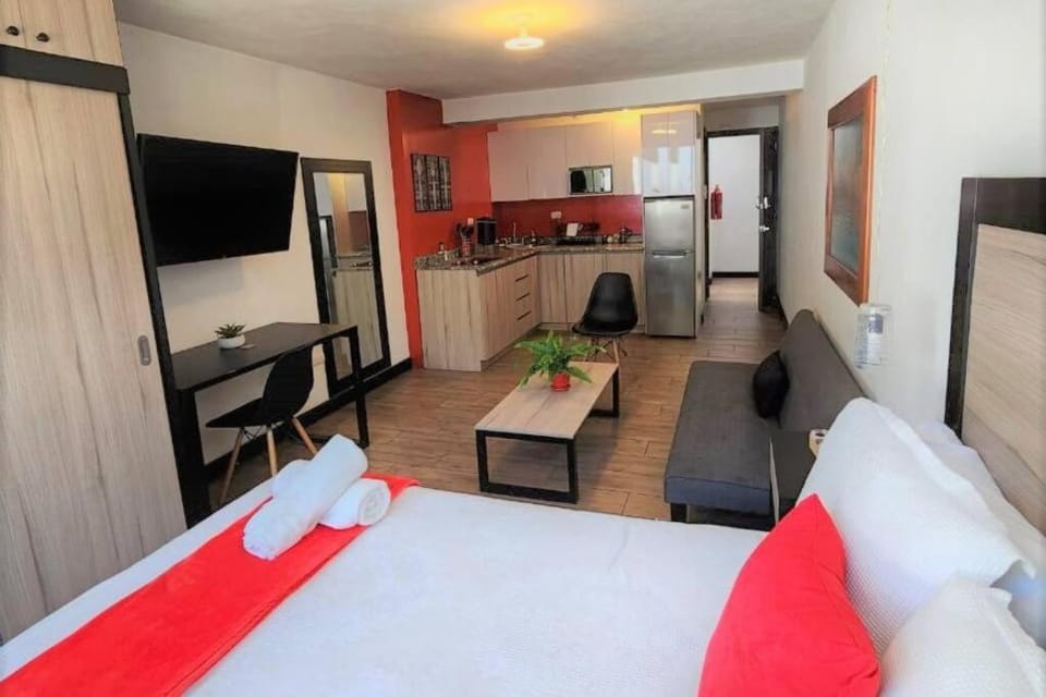 DSt4 Well stocked studio in zone 15 Apartment in Guatemala City