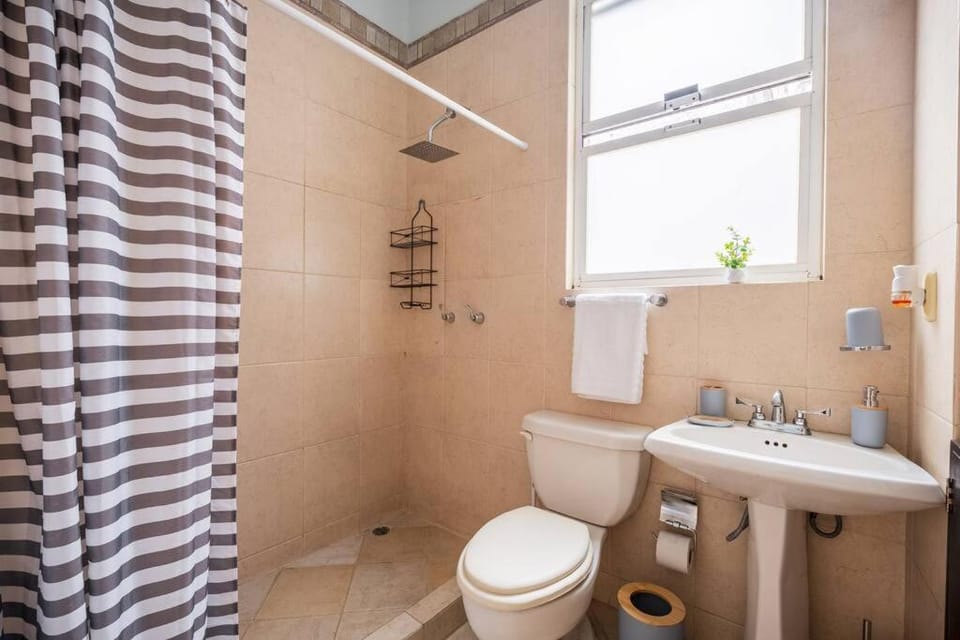 Acogedor departamento en Roma Apartment in Mexico City