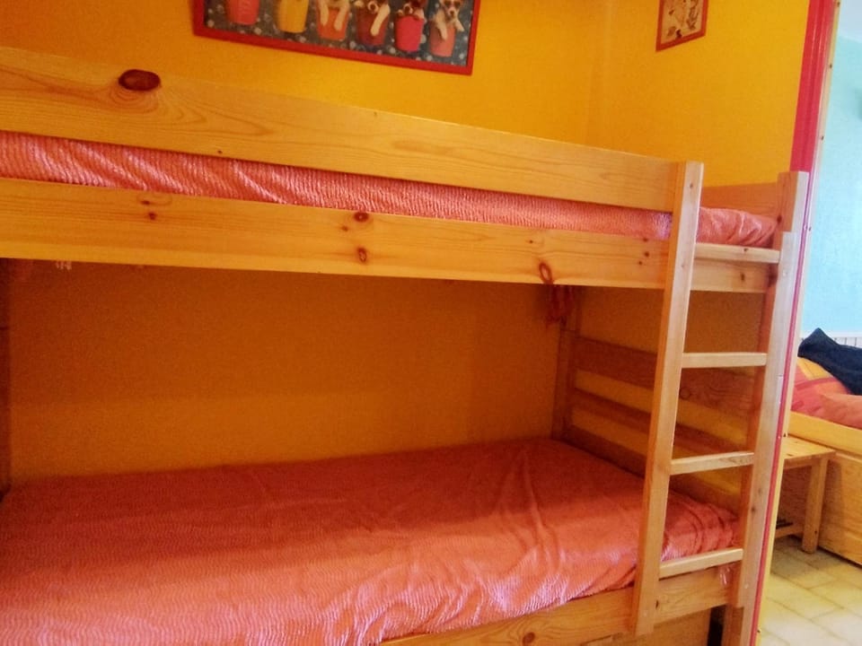 Studio confortable à 200m des pistes avec balcon et TV - Animaux interdits - FR-1-771-73 Apartment in Auvergne-Rhône-Alpes