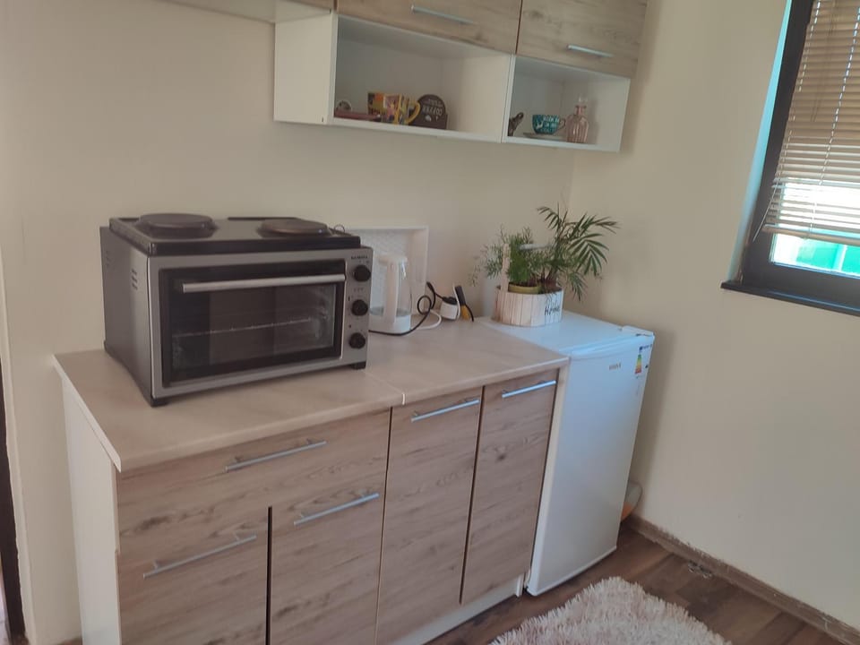 Kitchen or kitchenette, minibar, oven