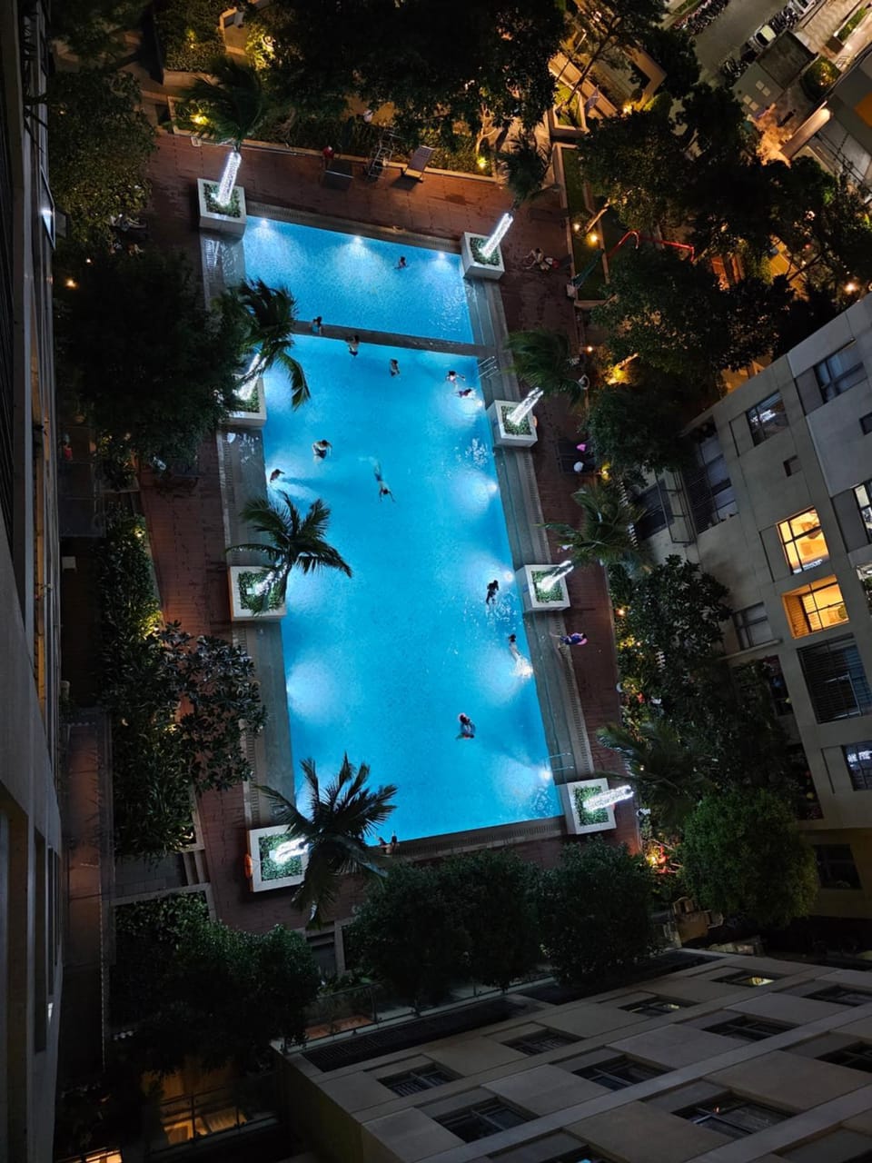 Night, Garden, Pool view, Swimming pool