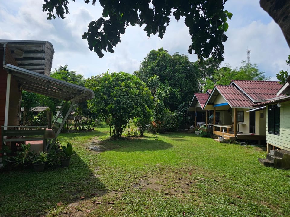 Natural landscape, Garden, Garden view