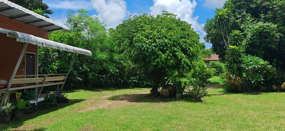 Natural landscape, Garden, Garden view