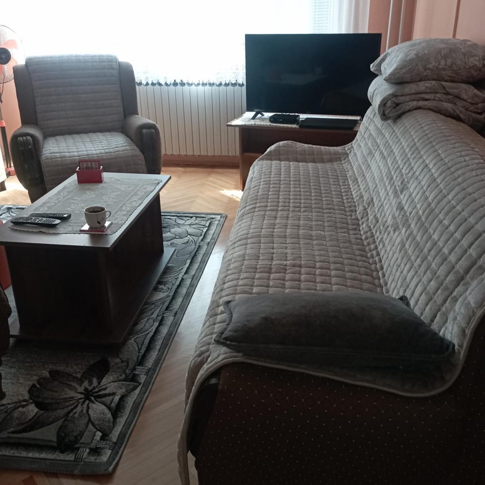 Apartman Icić Apartment in Serbia