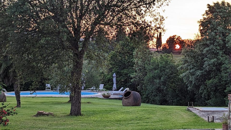Garden, Garden view, Swimming pool