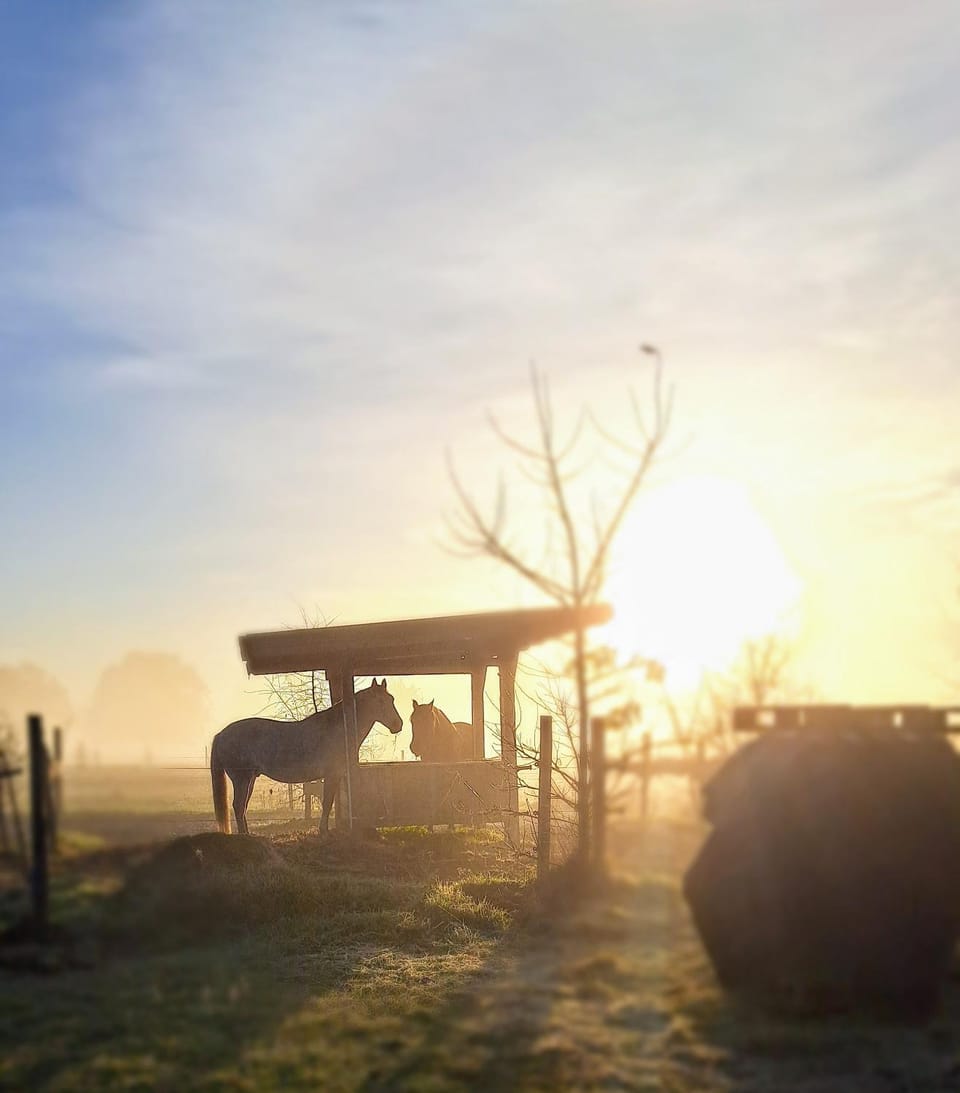 Sunrise